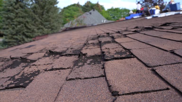 Fast & Reliable Emergency Roof Repairs in Ellport, PA